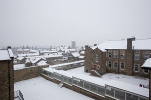 high roydsview from  male chroic block december 27 2010 image 5 sm.jpg